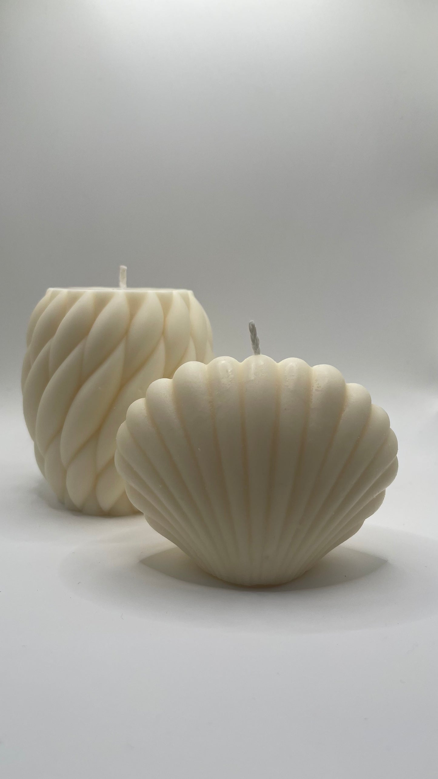 Seashell