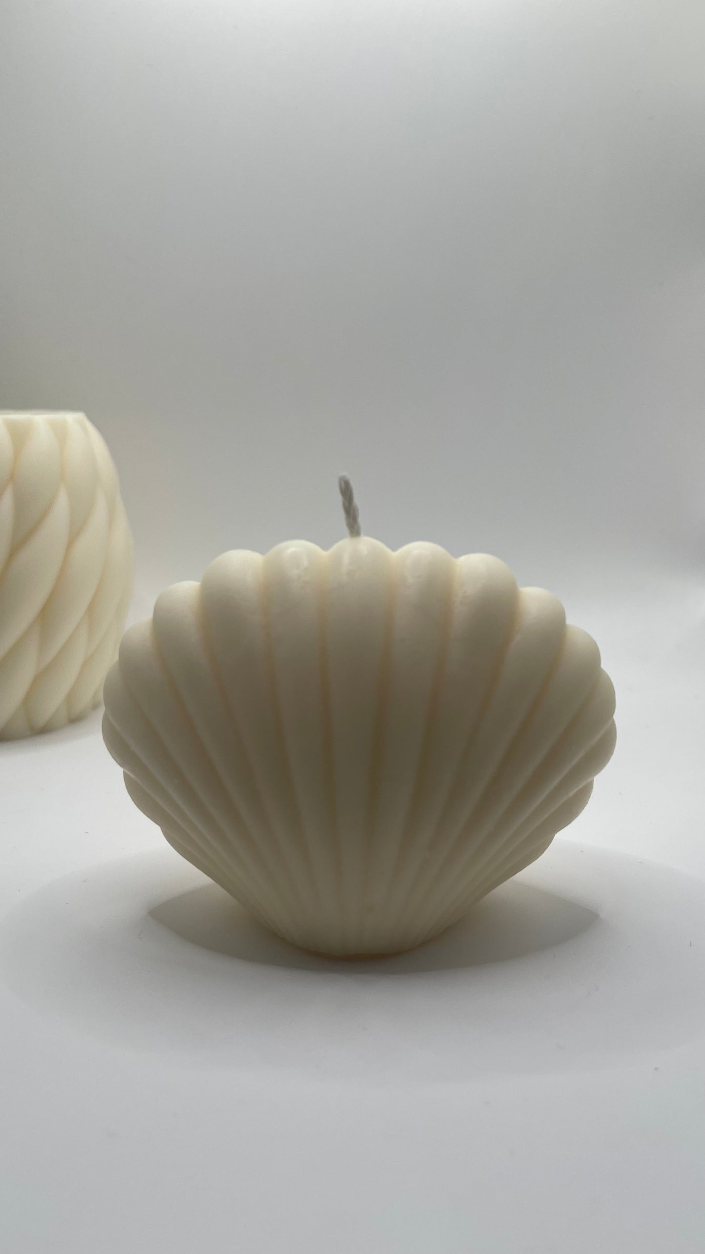Seashell