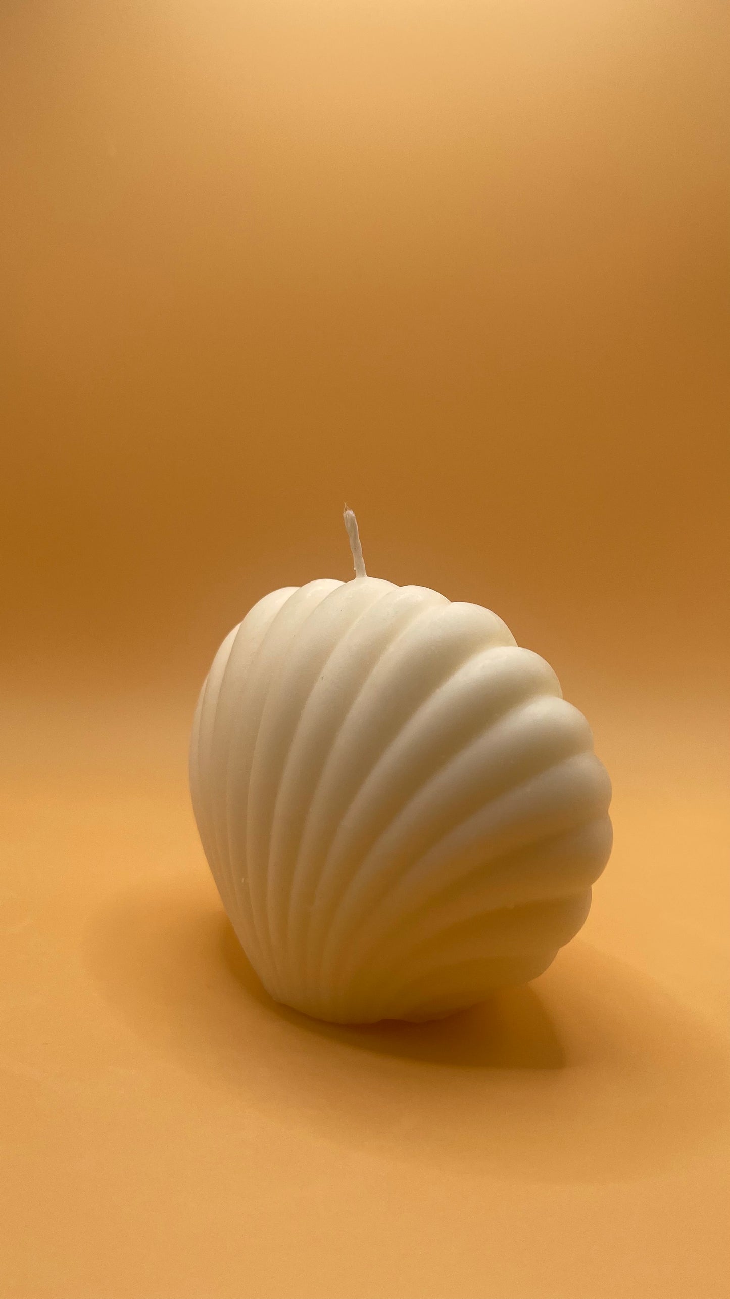 Seashell
