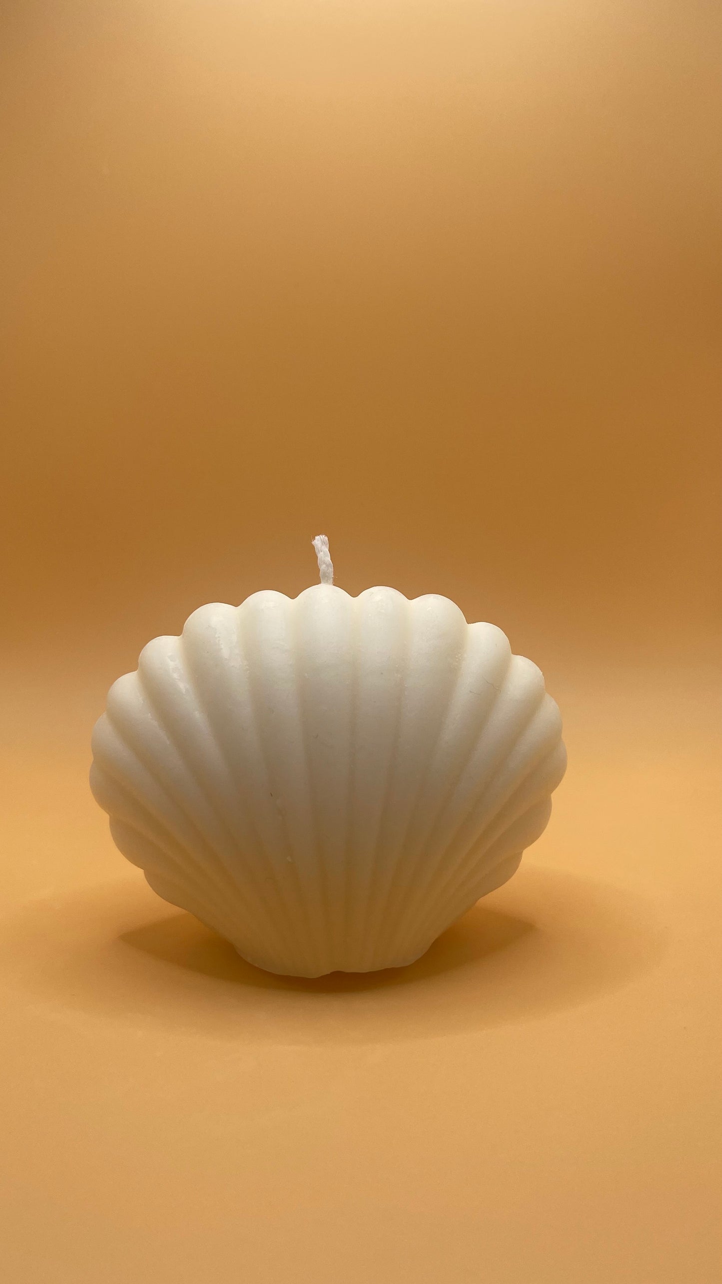 Seashell